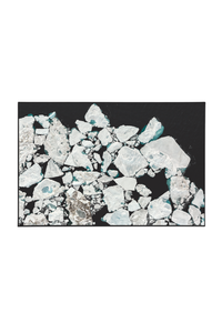 Wild Arctic Ice, Rollerball Pen